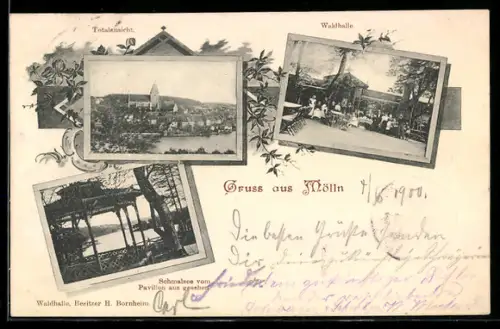 AK Mölln, Totalansicht, Cafe Waldhalle, Schmalsee