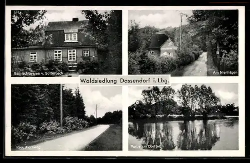 AK Dassendorf i. Lbg., Waldsiedlung und Partie am Dorfteich