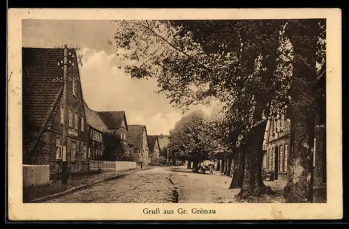 AK Gr. Grönau, Strassenpartie mit Wohnhäusern
