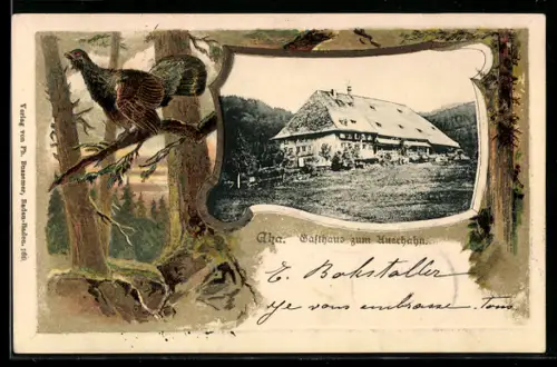 Passepartout-Lithographie Aha, Gasthaus zum Auerhahn, Auerhahn im Wald