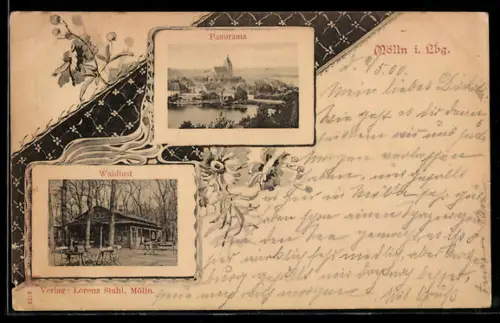 AK Mölln / Lbg., Panorama, Gasthaus Waldlust