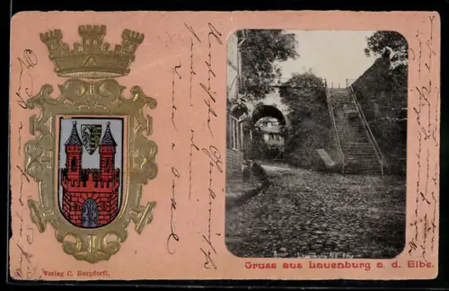 Lithographie Lauenburg a. d. Elbe, Strassenpartie mit Treppe, Wappen