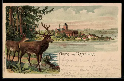 Lithographie Ratzeburg, Blick aus der Ferne mit Hirsch und Reh am Wasser