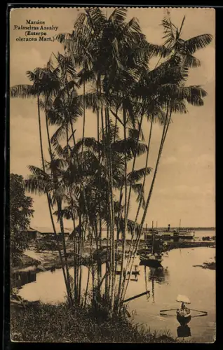 AK Manáos, Palmeiras Assahy
