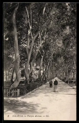 AK Ismailia, Poirpre Avenue