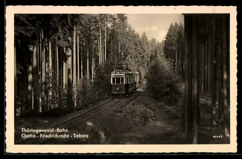 AK Gotha, Thüringerwald Bergbahn auf dem Weg durch den Wald