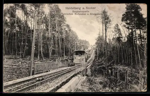 AK Heidelberg a. Neckar, Bergbahnpartie zwischen Molkenkur und Königstuhl