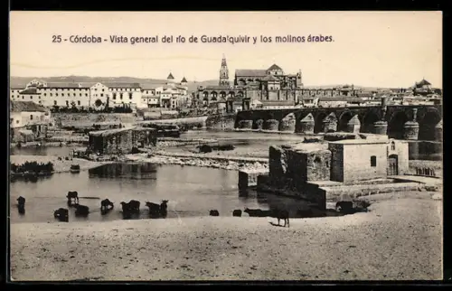 AK Córdoba, Vista general del río Guadalquivir y los molinos árabes
