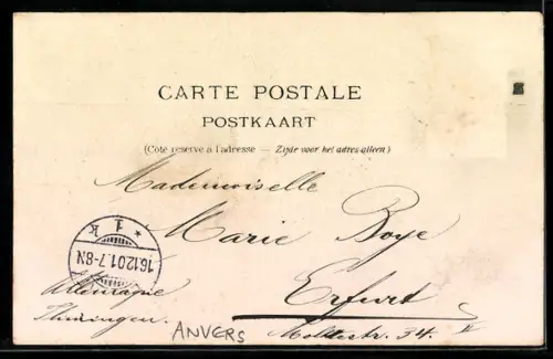 AK Anvers, Le Pilotage