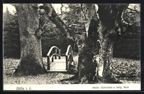 AK Mölln i. L., Heidn. Opferstätte am heiligen Bach
