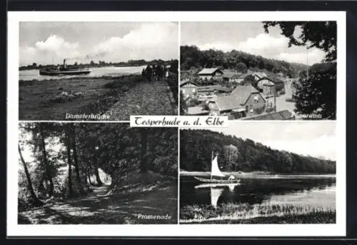 AK Tesperhude a. d. Elbe, Dampferbrücke, Panorama, Promenade