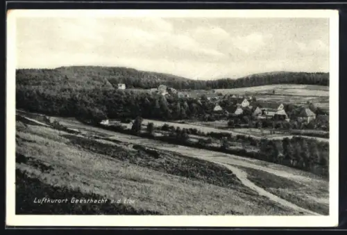 AK Geesthacht a. d. Elbe, Ortsansicht mit Wohnhäusern