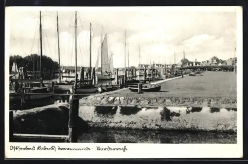 AK Travemünde /Ostsee, Hafenansicht, Segelboote, Vorderreihe