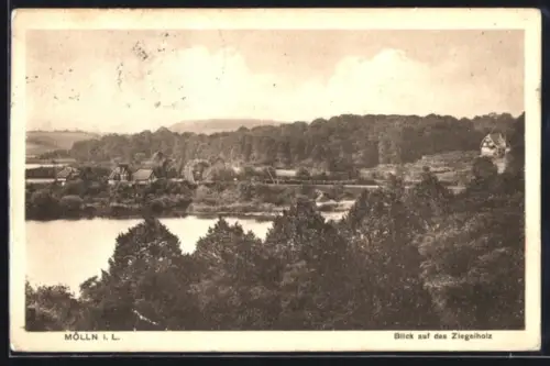 AK Mölln i. L., Blick auf das Ziegelholz