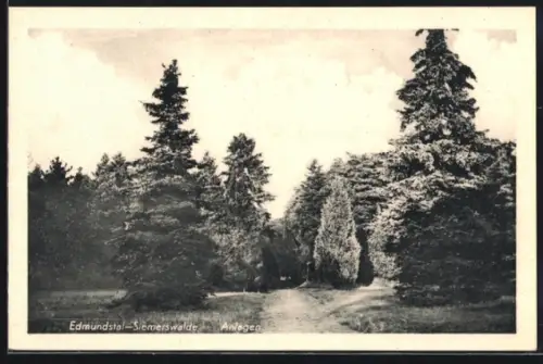 AK Geesthacht /Elbe, Heilstätte Edmundstal-Siemerswalde, Anlagen