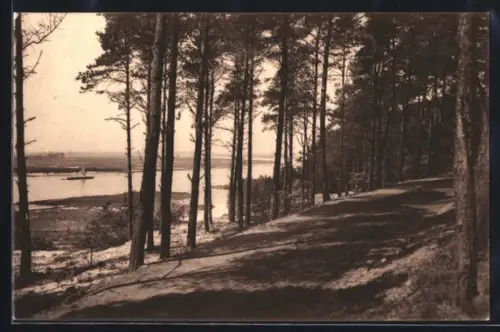 AK Geesthacht, Blick auf die Elbe