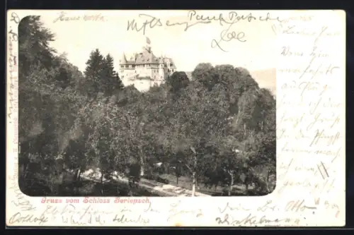AK Berlepsch, Schloss Berlepsch