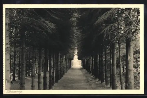 AK Bad Salzuflen, Sophienhaus, Christl. Erholungsheim für Frauen und junge Mädchen, Tannenweg