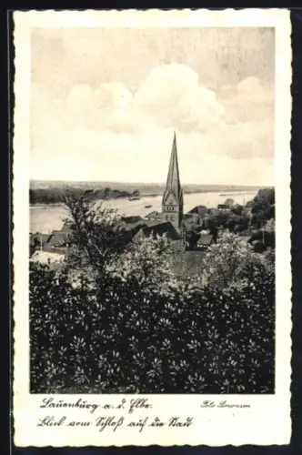 AK Lauenburg a. d. Elbe, Blick vom Schloss auf die Stadt