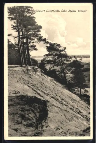 AK Geesthacht, Blick auf die Elbe, Steiles Elbufer