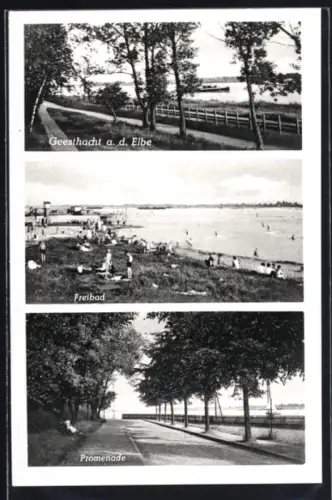 AK Geesthacht a. d. Elbe, Freibad, Promenade, Elbufer