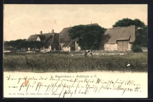 AK Boldixum a. F., Blick zu einem Bauernhaus