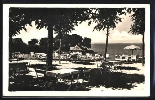 AK Travemünde, Restaurant und Café Hermannshöhe, Bes. B. Beythien, Liegewiese