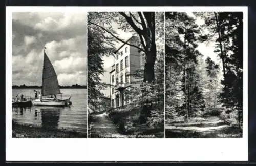 AK Tesperhude a. d. Oberelbe, Elbe, Polizei-Erholungsheim Waldesruh, Märchenwald