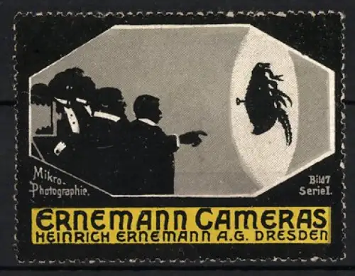 Reklamemarke Dresden, Heinrich Ernemann AG., Ernemann Cameras, Mikro-Photographie mit Floh