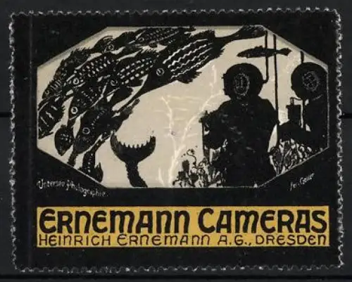 Reklamemarke Dresden, Heinrich Ernemann AG., Ernemann Cameras, Taucher vor Fischschwarm