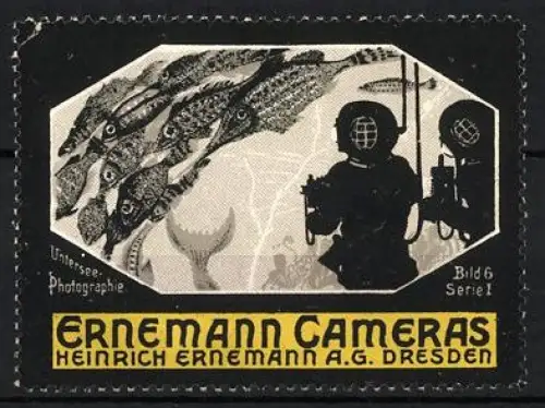 Reklamemarke Dresden, Heinrich Ernemann, Ernemann Cameras, Taucher mit Fischen