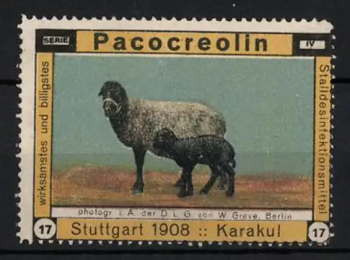 Reklamemarke Stuttgart, Pacocreolin, Desinfektionsmittel, Karakul Schafe 1908
