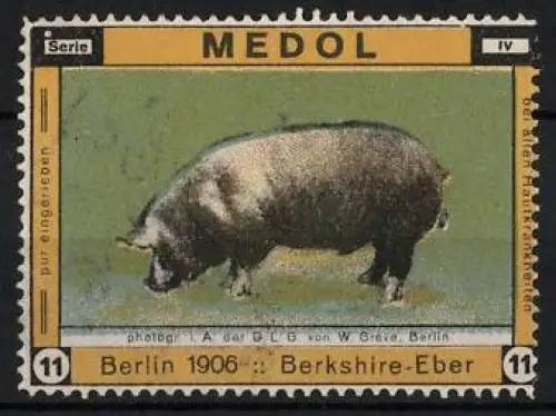 Reklamemarke Berlin, Medol Desinfektionsmittel, Berkshire-Eber 1906
