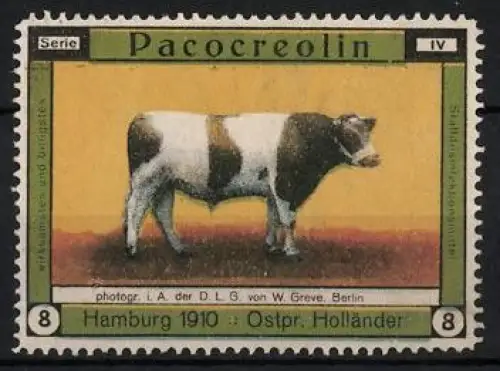 Reklamemarke Hamburg, Pacocreaolin, Desinfektionsmittel, Ostpreuss. Holländer-Rind 1910