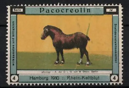 Reklamemarke Hamburg, Pacocreolin, Desinfektionsmittel, Rhein-Kaltblut 1910