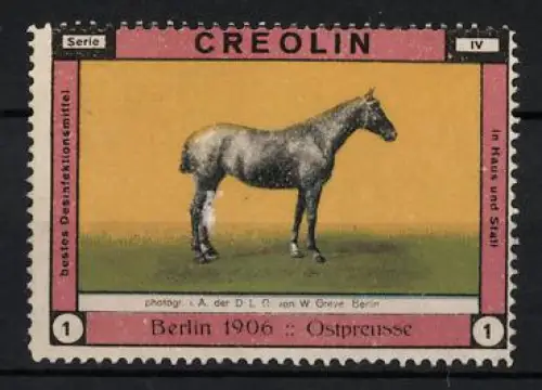 Reklamemarke Berlin, Creolin, Desinfektionsmittel, Ostpreussisches Pferd 1906
