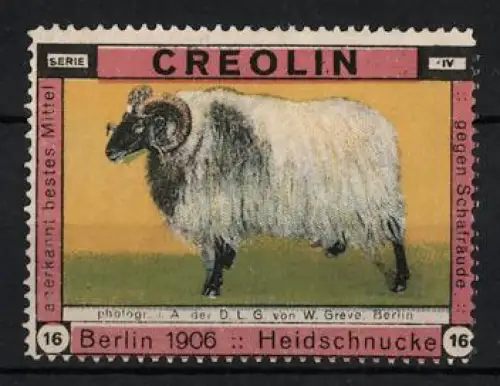 Reklamemarke Berlin, Creolin, Mittel gegen Schafräude, Heidschnucke 1906