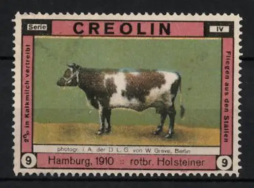 Reklamemarke Hamburg, Creolin, rotbr. Holsteiner Rind 1910