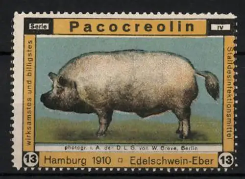 Reklamemarke Hamburg, Pacocreolin, Desinfektionsmittel, Edelschwein-Eber 1910