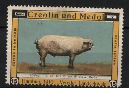 Reklamemarke Hamburg, Creolin und Medol, Veredel. Landschwein 1910