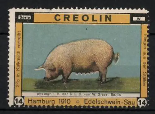 Reklamemarke Hamburg, Creolin, Edelschwein-Sau 1910