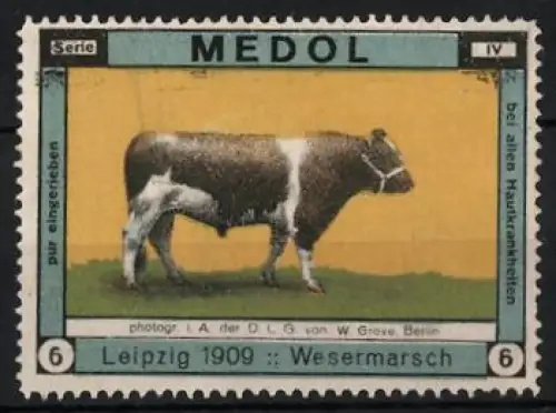 Reklamemarke Leipzig, Medol, Mittel gegen Hautkrankheiten, Kuh der Wesermarsch 1909