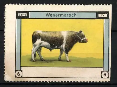 Reklamemarke Wesermarsch, Wesermarsch Rind auf gelbem Hintergrund