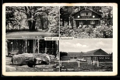 AK Dassendorf, Fünfstämmige Buche, Riesenbett, Neue Schule, Wochenendhaus