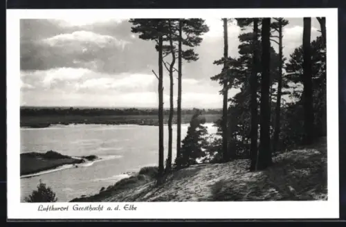 AK Geesthacht a. d. Elbe, Ortspartie