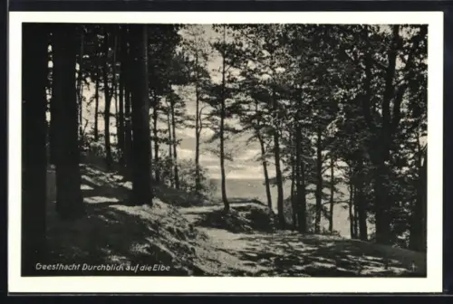 AK Geesthacht, Durchblick auf die Elbe