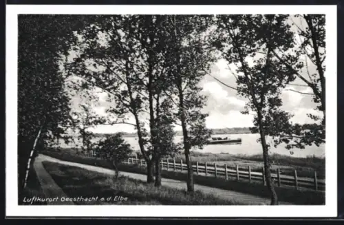 AK Geesthacht a. d. Elbe, Ortspartie