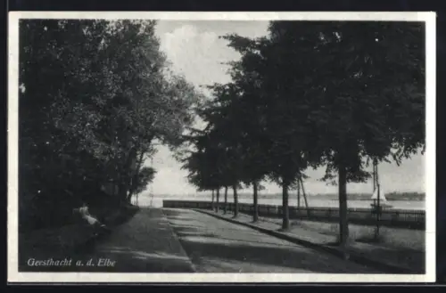 AK Geesthacht, Teilansicht mit Elbe