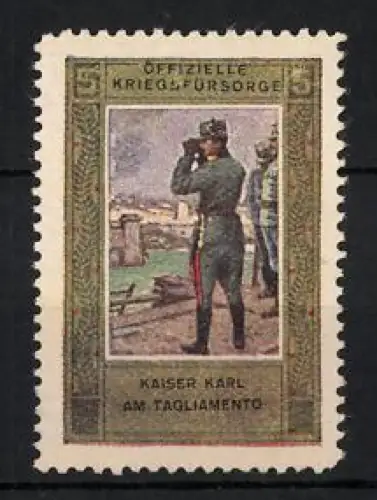 Reklamemarke Kaiser Karl am Tagliamento, Offizielle Kriegsfürsorge