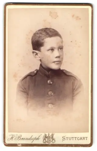 Fotografie H. Brandseph, Stuttgart, Marienstrasse 36, Kadett in Uniform